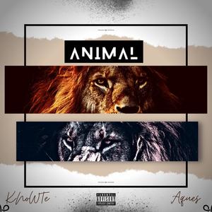 Animal (Explicit)