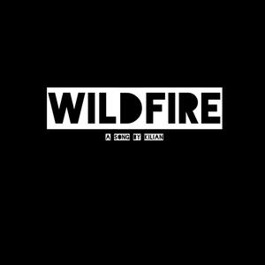 Wildfire