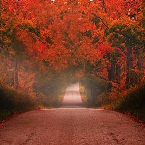 autumn drive (Explicit)