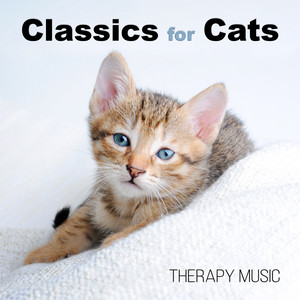 Classics for Cats - Therapy Music for Cats to Calm and Relax, Pets Love Piano