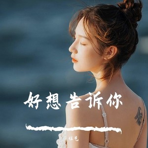 好想告诉你（温柔女声版）