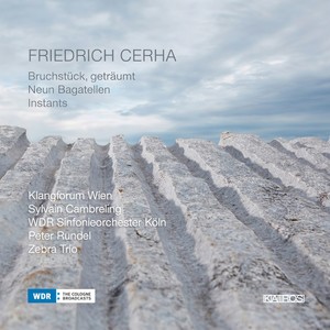 Bruchstück, geträumt (2009) for Ensemble
