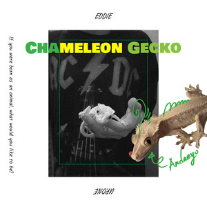 Chameleon Gecko (Explicit)