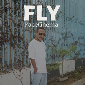 FLY