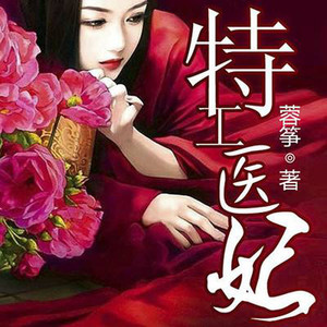 特工医妃|多人精品剧