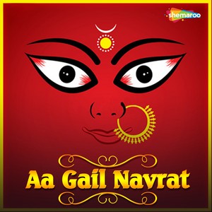 Aa Gail Navrat