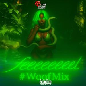 Feeeeeeeeel #WoofMix (Explicit)