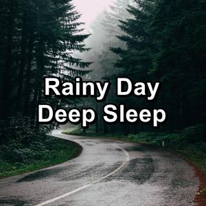 Rain Sounds Anti Stress For Babies to Sleep