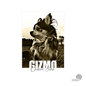 Gizmo (Explicit)