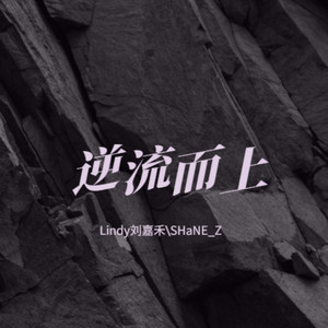 逆流而上 (Lindy刘嘉禾|SHaNE_Z remix)
