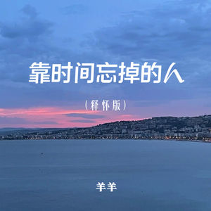 靠时间忘掉的人 (释怀版)