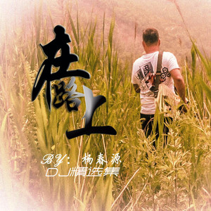 在路上 (DJ金6 Remix)
