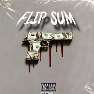 Flip Sum (feat. Bluestriiip) [Explicit]