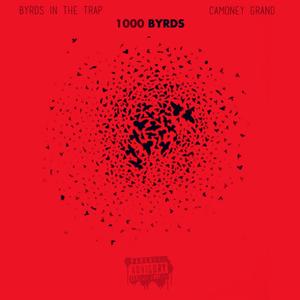 1000 Byrds (Red Edition) [Explicit]