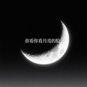 你看你看月亮的脸-利群先生