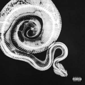 SNAKE (Explicit)