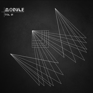 Module, Vol. 01