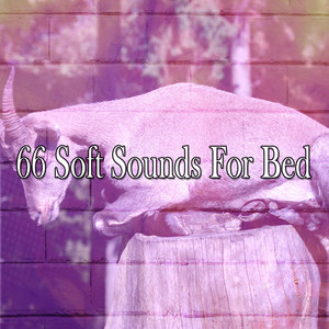 66 Soft Sounds For Bed