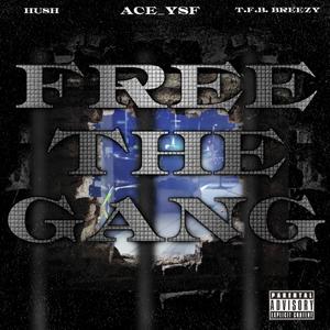 Free The Gang (feat. T.F.B Breezy & Hush_YSF) [Explicit]