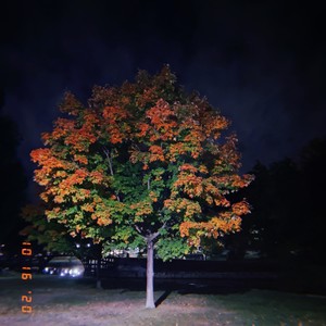 Smokin' in the park after dark (Explicit)