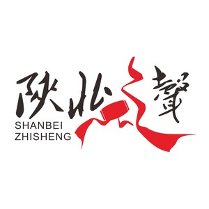 《陕北之声》刘小刚.孙利玲对唱版