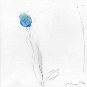 sugar & diesel (Explicit)