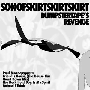 Son of Skirtskirtskirt (Dumpstertape's Revenge) & Other Type Hits