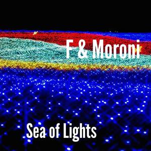 Sea of Lights