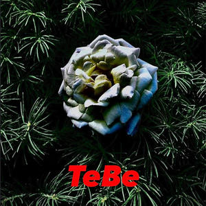 Tebe (Explicit)