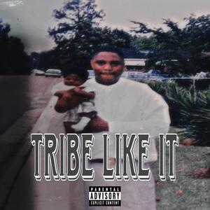 Tribe Like It (Explicit)