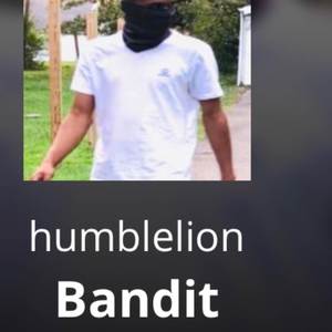 Bandit