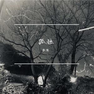 白天不懂夜的黑 Cover 华晨宇