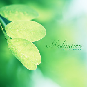 Meditation (冥想)