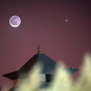 京师旧月 伴奏