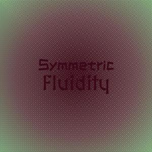 Symmetric Fluidity