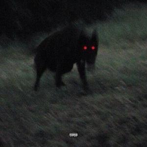 Black dog (Explicit)