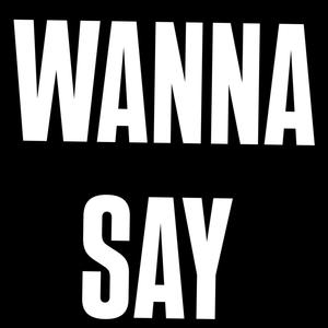 Wanna Say