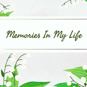 Memories In My Life