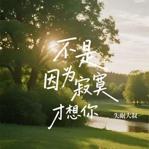 不是因为寂寞才想你-失眠大叔