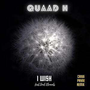 I Wish (Criss Payne Remix|Explicit)