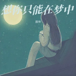 想你只能在梦中