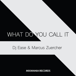 What Do You Call It (Original Mix)