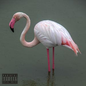 PADAVINE (feat. Gotti) (Explicit)