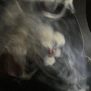 (Freestyle) high (Explicit)