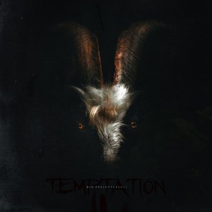 Temptation (feat. Zoën)