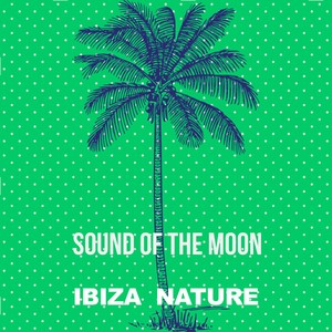 Oziriz - Jog (Original Mix)