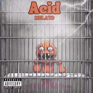 ACID (Explicit)