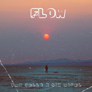 Flow (Explicit)