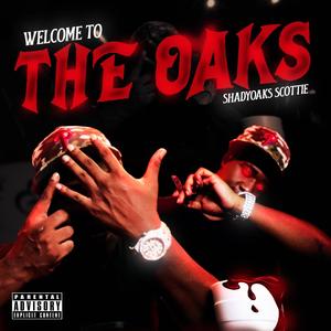 Hood star (feat. FBG Josh) (Explicit)