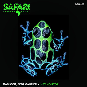 Hey No Stop (Original Mix)